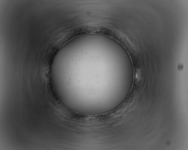 X0000102840867200809021334