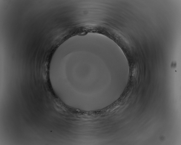 X0000102840868200809021334