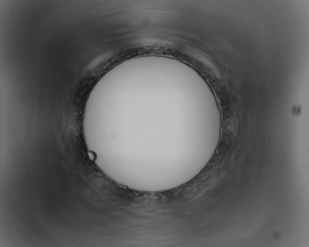 X0000102840869200809021334