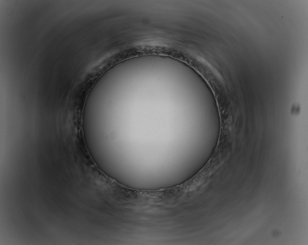 X0000102840870200809021334