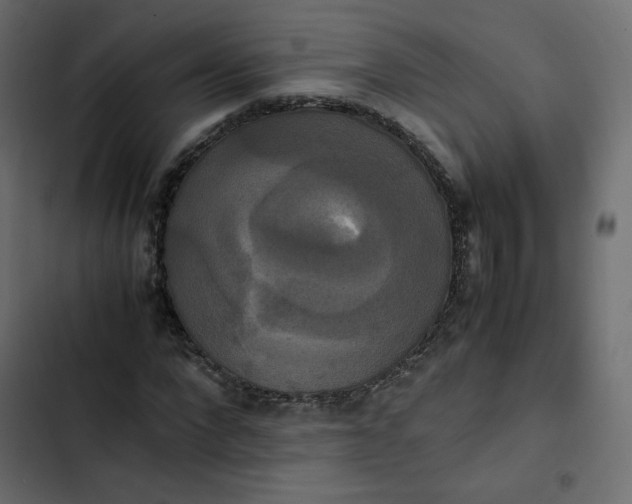 X0000102840872200809021334