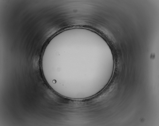 X0000102840873200809021334