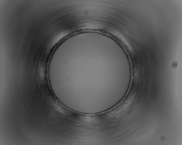 X0000102840874200809021334