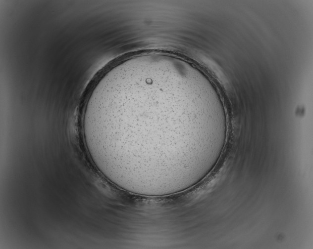 X0000102840875200809021334