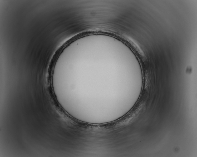 X0000102840876200809021334