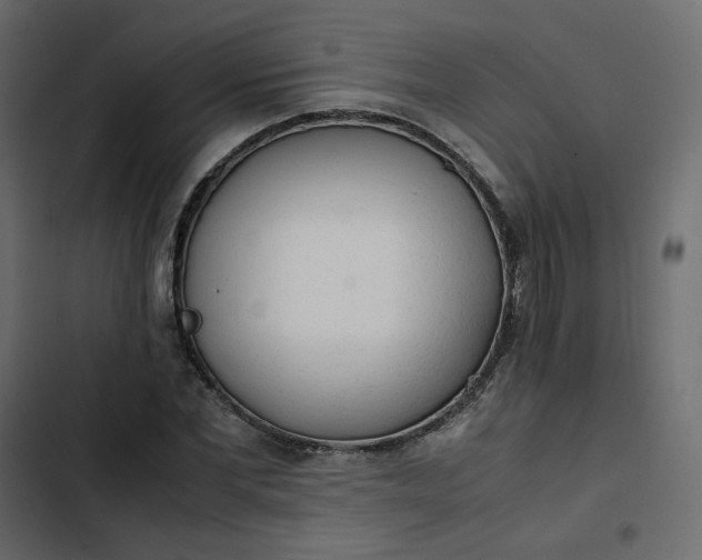 X0000102840877200809021334