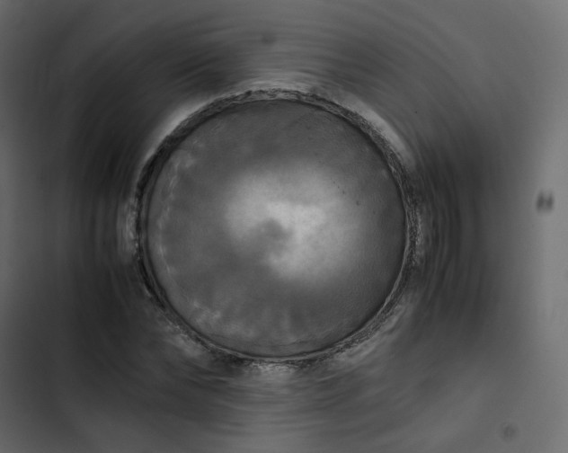 X0000102840878200809021334