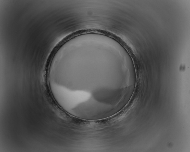 X0000102840879200809021334