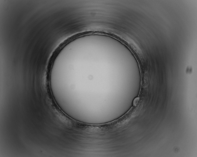 X0000102840880200809021334