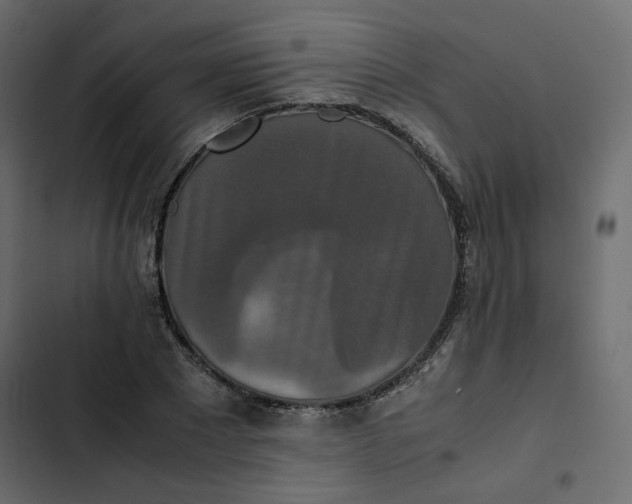 X0000102840881200809021334