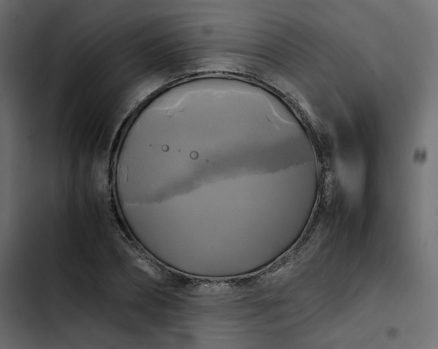 X0000102840882200809021334