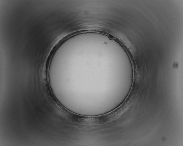 X0000102840883200809021334