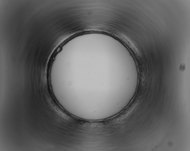 X0000102840884200809021334