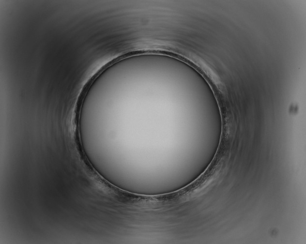 X0000102840885200809021334