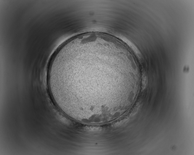 X0000102840886200809021334