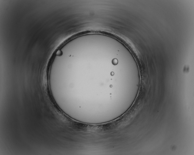 X0000102840887200809021334