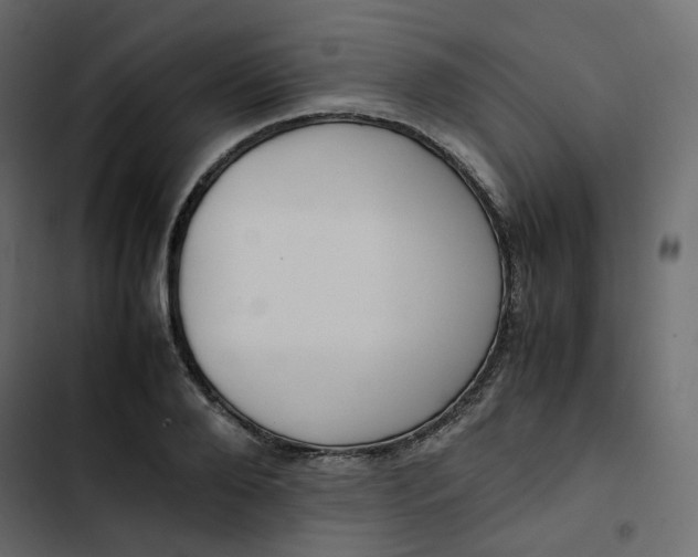 X0000102840888200809021334