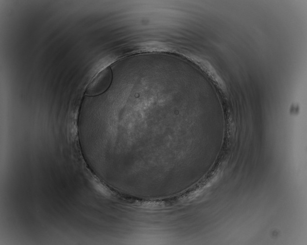 X0000102840889200809021334