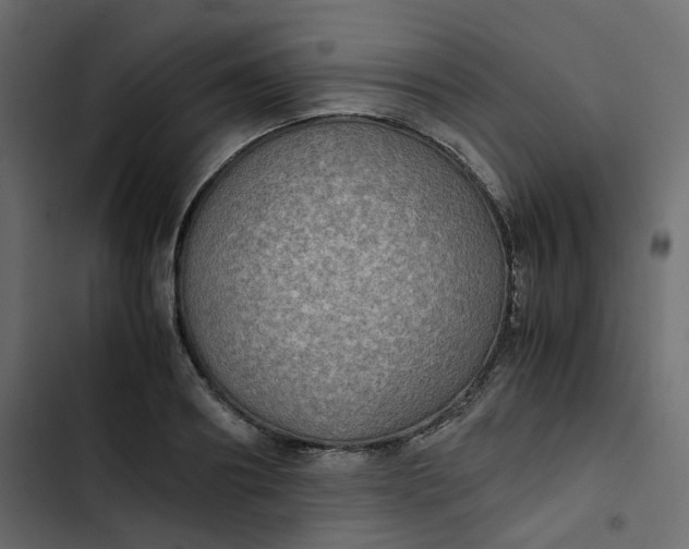 X0000102840890200809021334