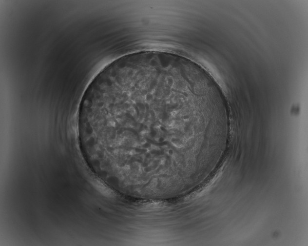 X0000102840891200809021334