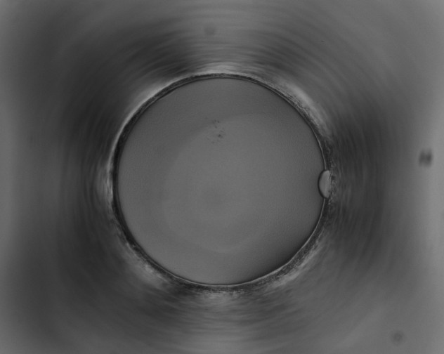 X0000102840892200809021334