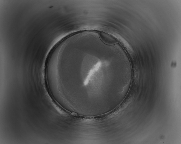 X0000102840894200809021334