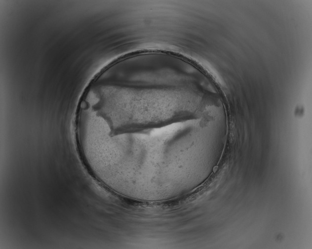 X0000102840895200809021334