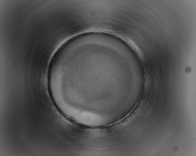 X0000102840896200809021334