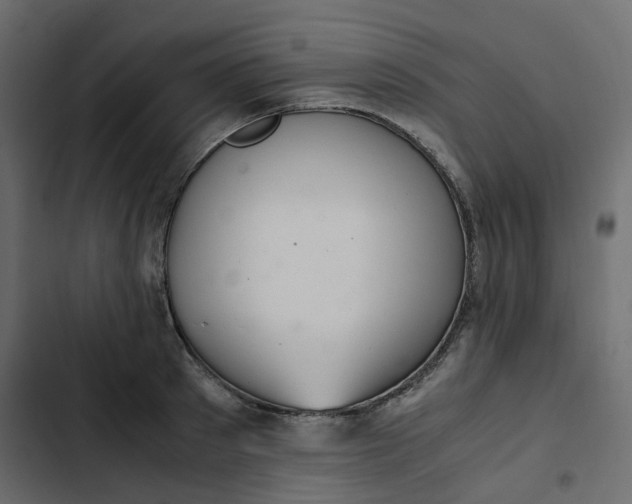 X0000102840897200809021334