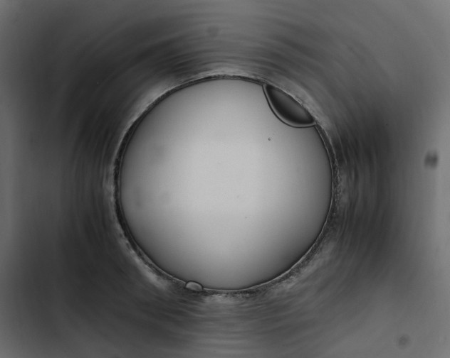 X0000102840898200809021334