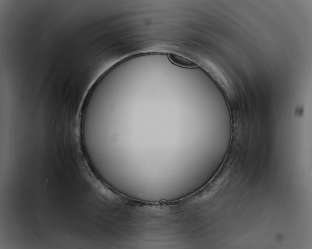 X0000102840900200809021334