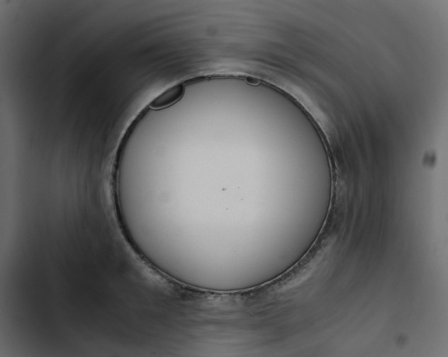 X0000102840901200809021334