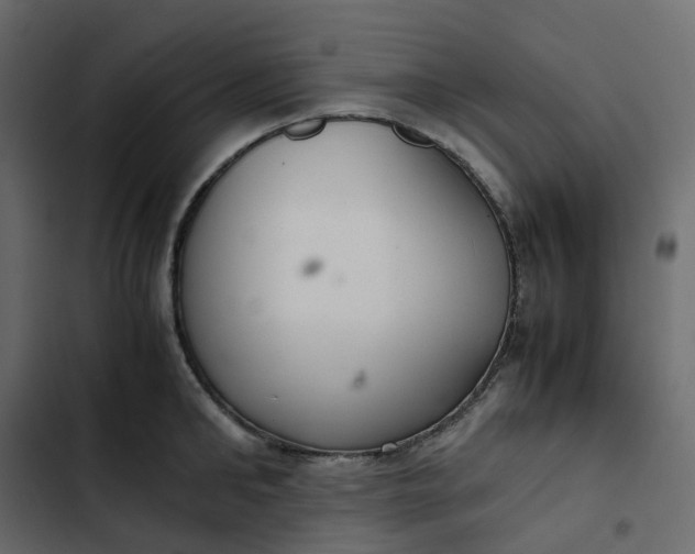 X0000102840902200809021334