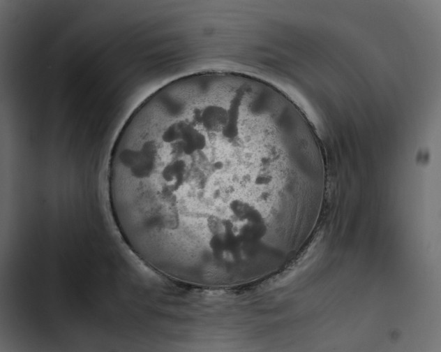 X0000102840903200809021334