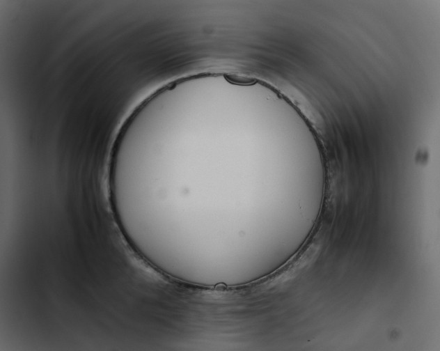 X0000102840904200809021334