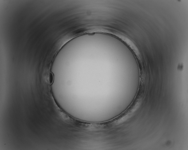 X0000102840905200809021334