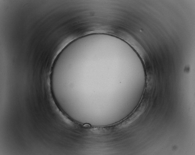 X0000102840906200809021334