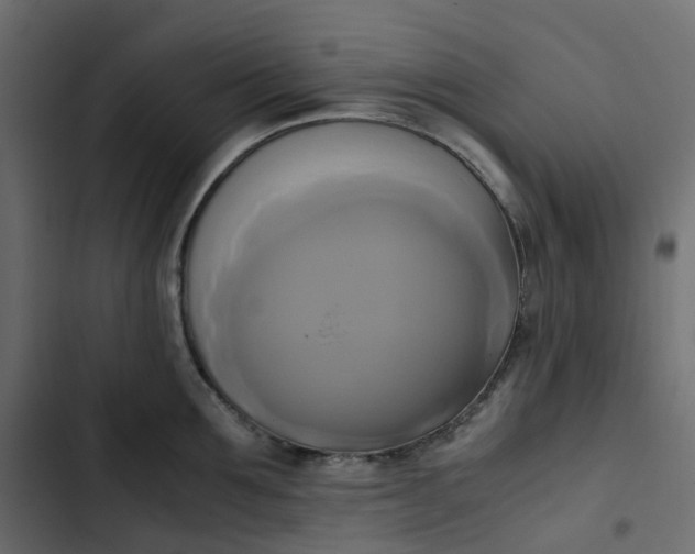 X0000102840907200809021334