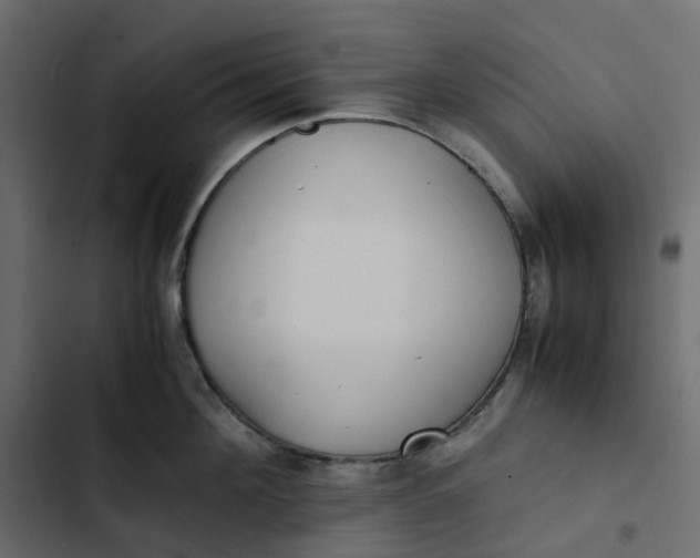 X0000102840908200809021334