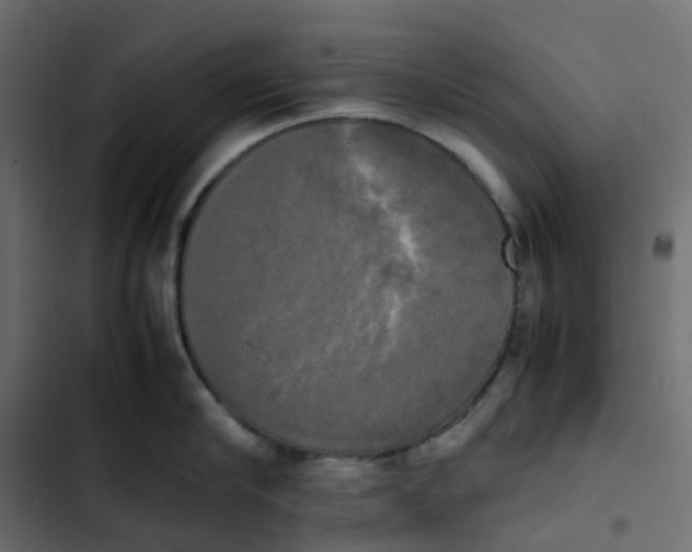 X0000102840910200809021334