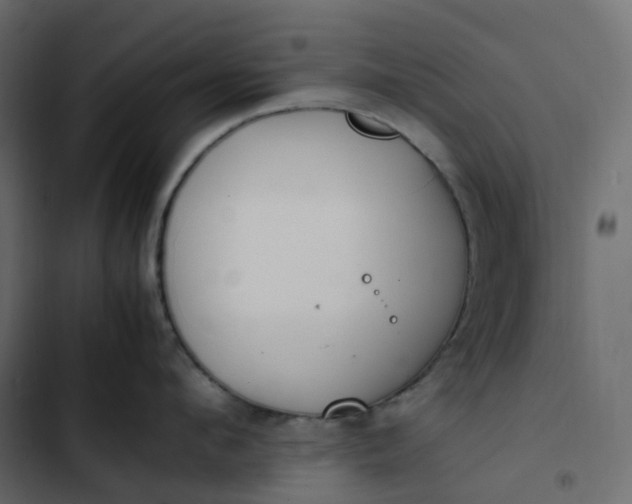 X0000102840912200809021334