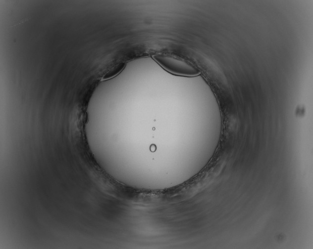 X0000102840914200809021333