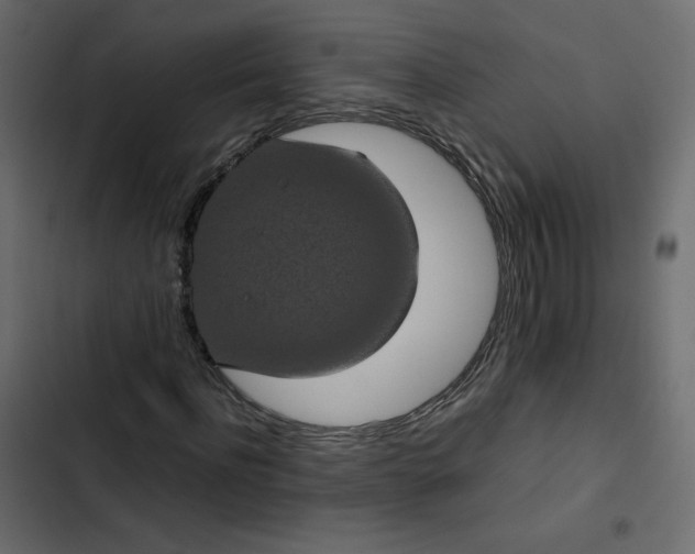 X0000102840916200809021333