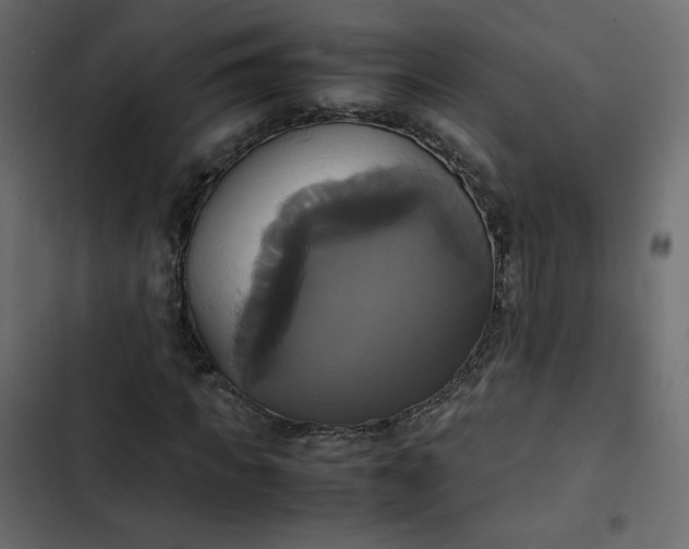 X0000102840917200809021333