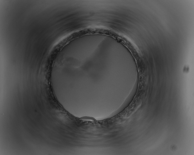 X0000102840919200809021333