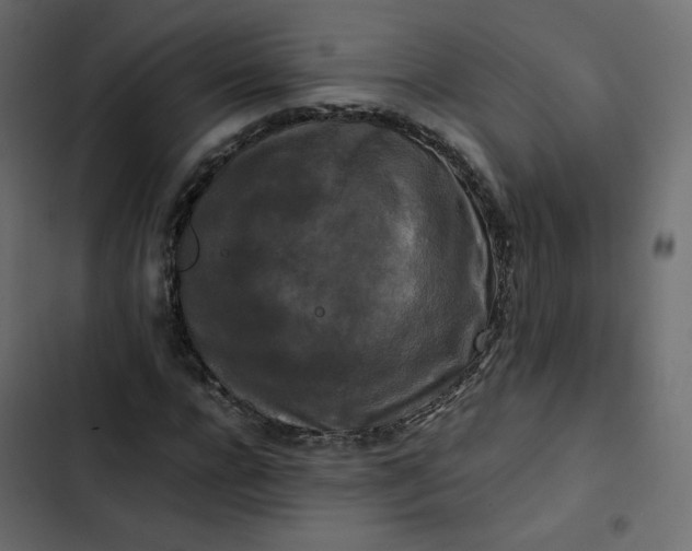 X0000102840920200809021333