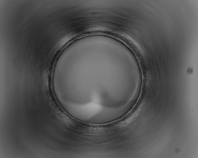 X0000102840921200809021333