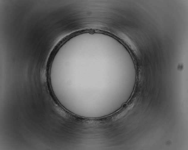 X0000102840924200809021333