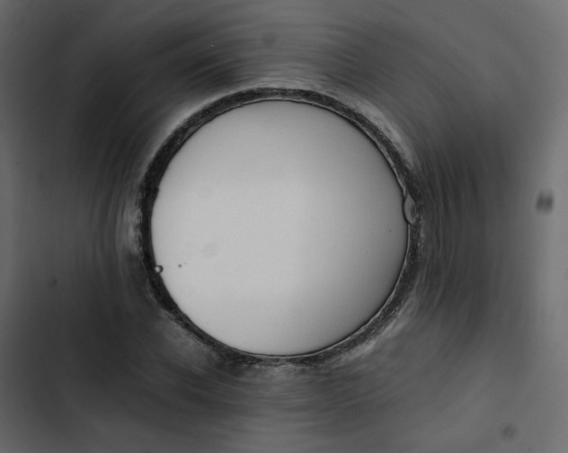 X0000102840926200809021333