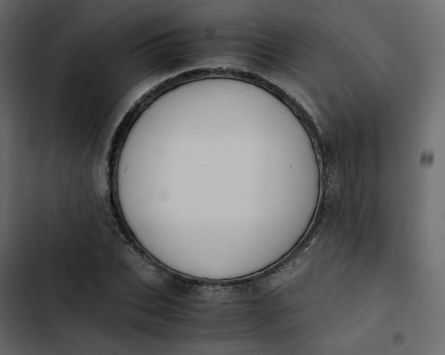 X0000102840927200809021333